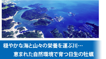 豊富な栄養を含んだ自然環境が育てる極上の日生の牡蠣
