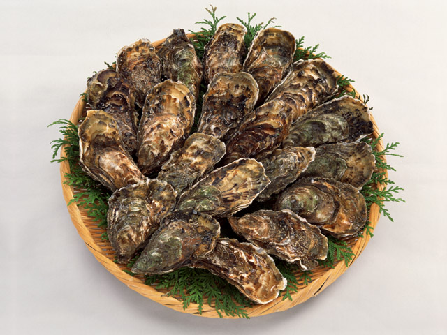 12月いっぴより、日生（ひなせ）の牡蠣をご提供します。